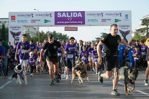 carrera a cuatro patas contra el abandono animal