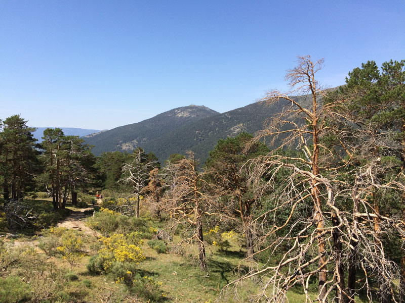 la sierra de guadarrama un paisaje con alma