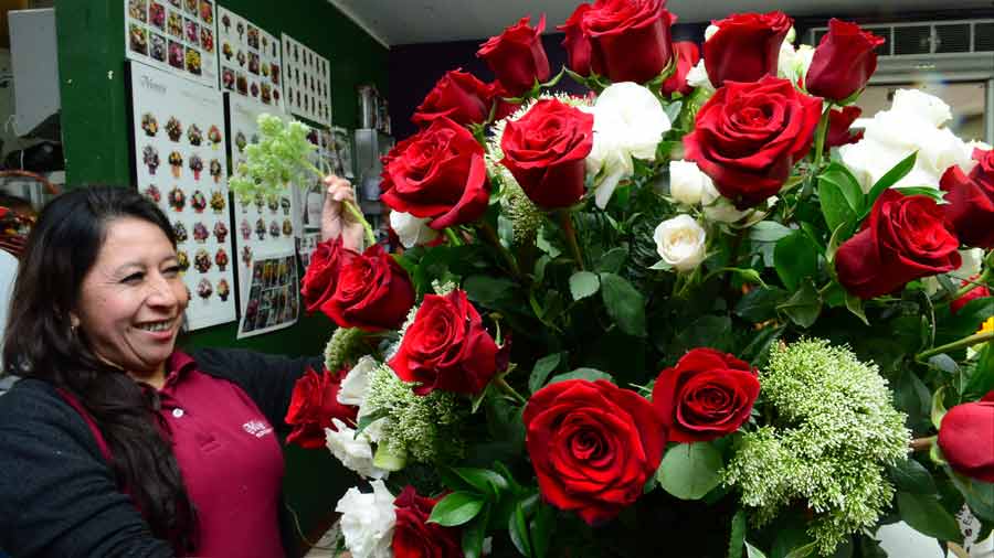 las rosas las flores que mas se regalan en san valentin