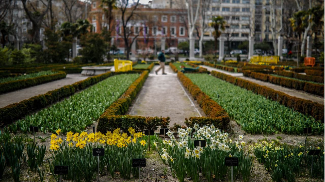 el jardin botanico podra recibir visitantes desde el lunes de mayo