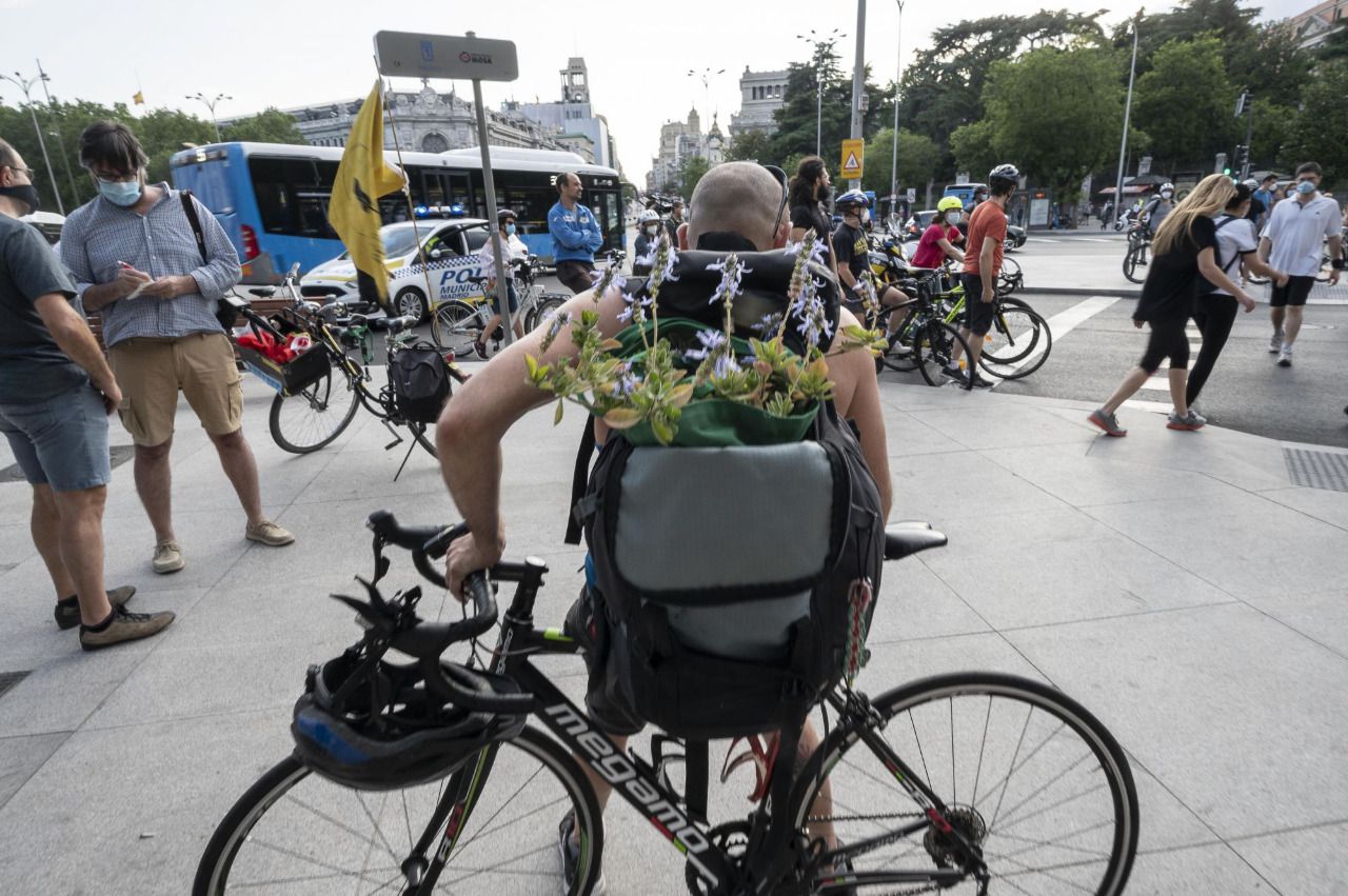 Colectivos ciclistas y ecologistas llenan Madrid de bicicletas