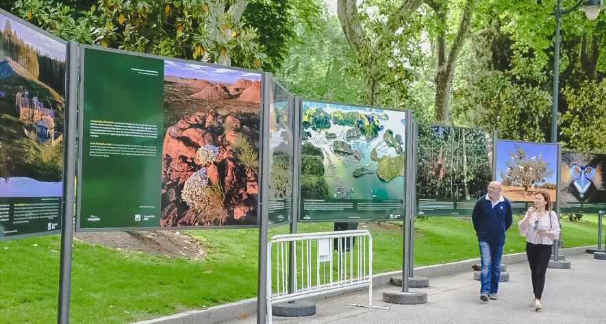 Exposición de fotografía en el Parque del Retiro