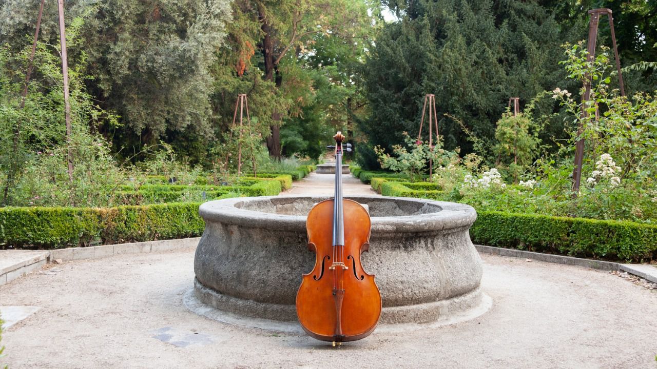 El Jardín Botánico inaugura un ciclo de ‘Paseos Musicales’ con la Orquesta Sinfónica de Bankia